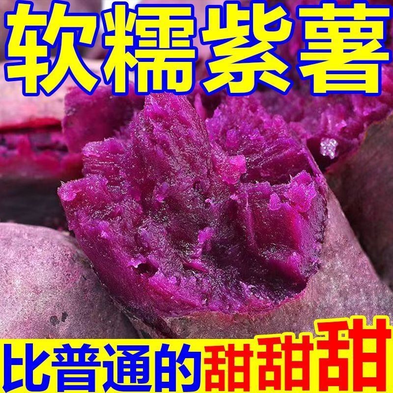 2025沙地紫薯新鲜现挖紫心蜜薯小红薯农家自种沙地番薯板栗地瓜Y