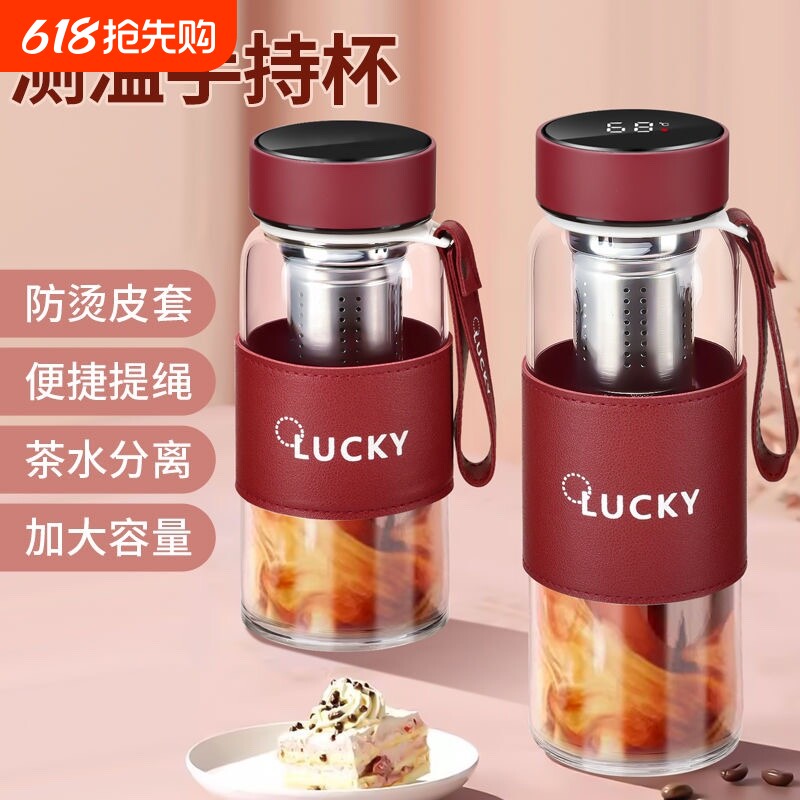 韩式便携办公室车载商务玻璃杯男女带提绳茶仓泡茶杯高硼硅耐热杯