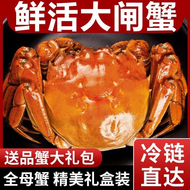 【活蟹】军山湖核心产区湖水特大大闸蟹10只全母礼盒装顺丰冷链