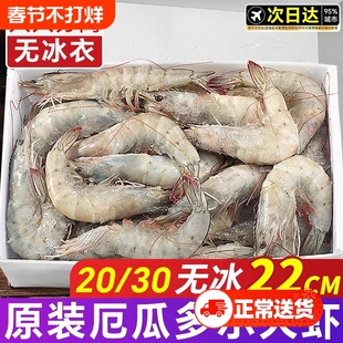 厄瓜多尔白虾大虾盐冻2030鲜活速冻南美白虾基围虾海鲜水产年货节