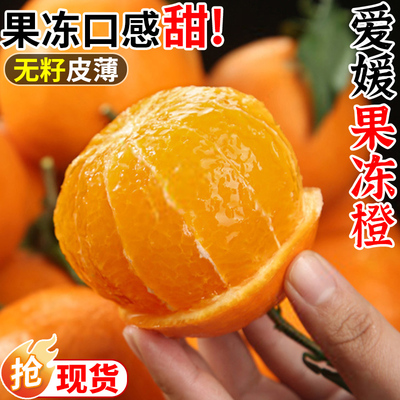 爱媛果冻橙3/5/9斤新鲜橙子当季整箱柑橘水果包邮整箱