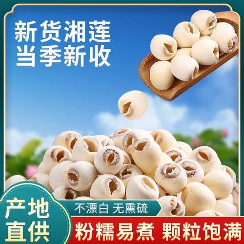 【新莲】湖南特产湘潭白莲子干货去芯莲米 500g无芯取芯磨皮湘莲