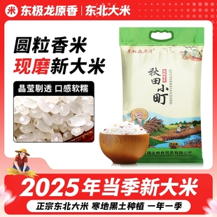 东极龙原香圆粒新米香米家用大米东北大米5KG珍珠米现磨现发10斤
