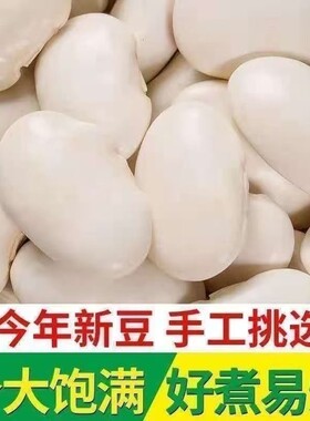 大白芸豆新鲜云南特产农家大白云豆大白豆四季豆干货豆白五谷新货