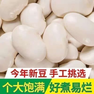 大白芸豆新鲜云南特产农家大白云豆大白豆四季豆干货豆白五谷新货