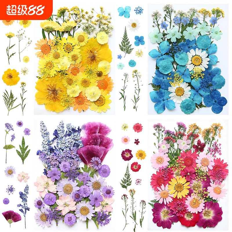 干花diy材料包永生花压花片押花草手工滴胶书签真花植物树叶标本