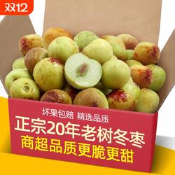 品质沾化冬枣5斤枣子新鲜当季水果脆枣鲜枣甜枣大荔青枣现摘时令