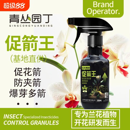 促花箭防夹箭青丛园丁兰花专用