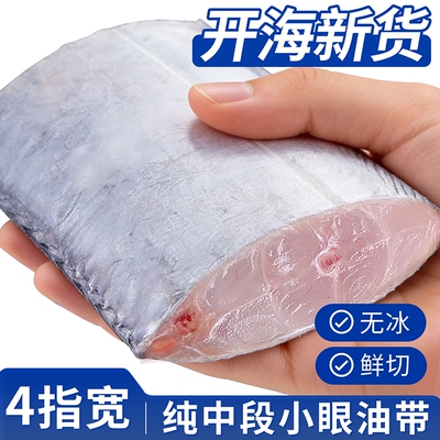 新鲜带鱼冷冻刀鱼中段特级大号东海小眼深海鱼鲜活海鲜冰鲜去头尾