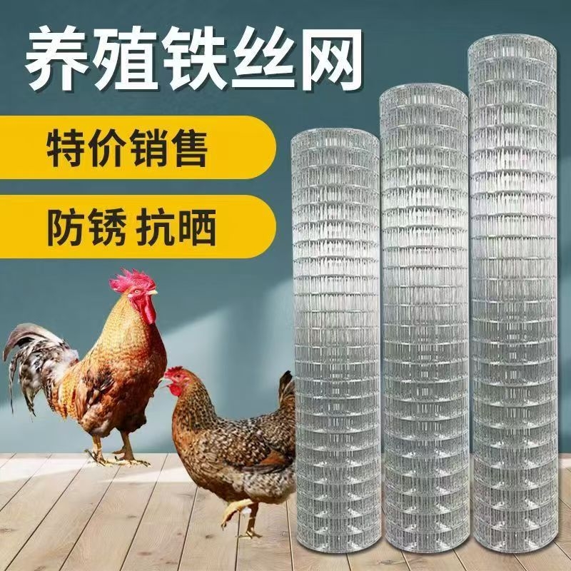 拦鸡网养鸡网钢丝网养殖网菜园