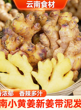 云南新鲜食材新姜农家新鲜生姜