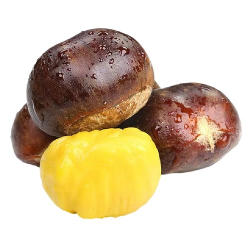 新鲜丹东板栗粉糯绵密精选多规格