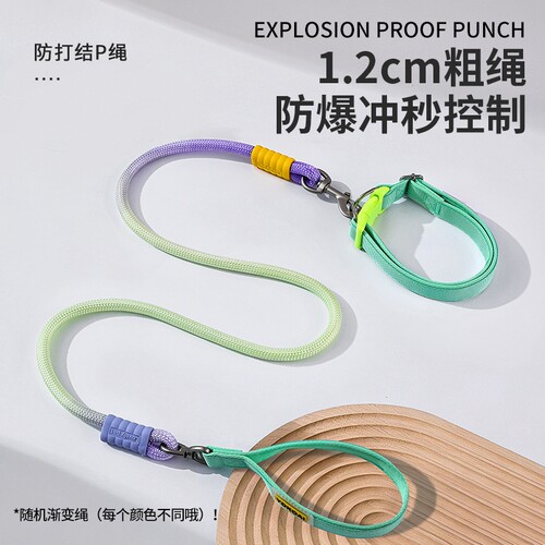 二合一加厚P绳狗狗牵引项圈