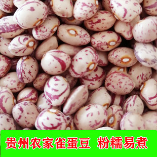 贵州农家自种大雀蛋豆新货奶花豆花生豆花生豆米干货新雀蛋豆10斤