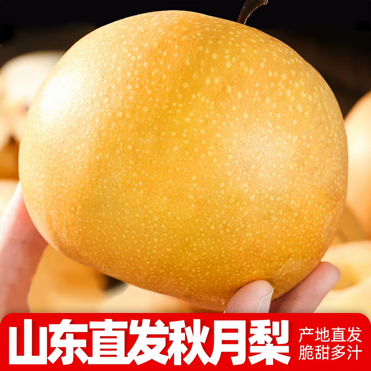 正宗山东烟台莱阳秋月梨新鲜水果当季冰糖雪梨子整箱产地直发