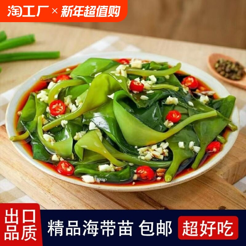 霞浦海带嫩苗新鲜盐渍海带芽裙带菜干货火锅食材商用凉拌免洗煲汤
