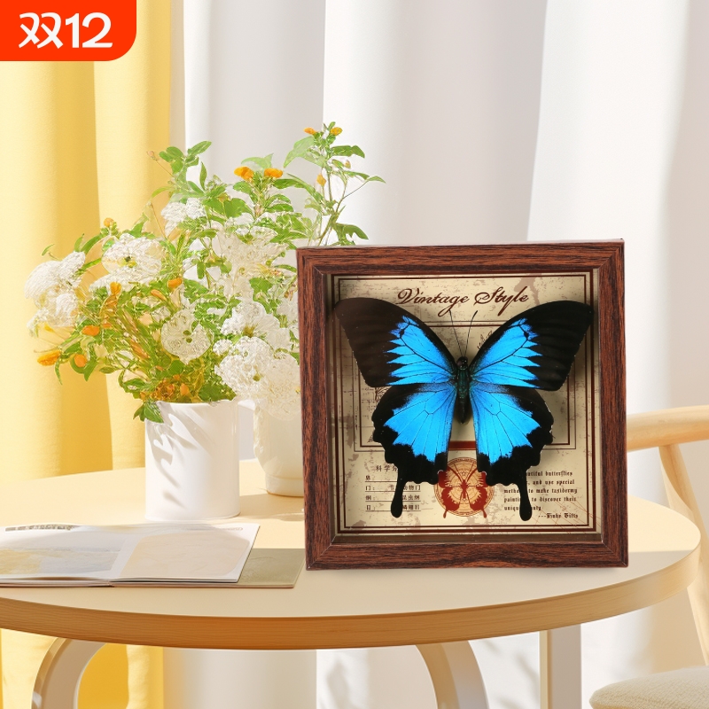 天堂翠凤蝶标本相框真蝴蝶DIY摆台装饰生日礼物礼品桌面绿带动物