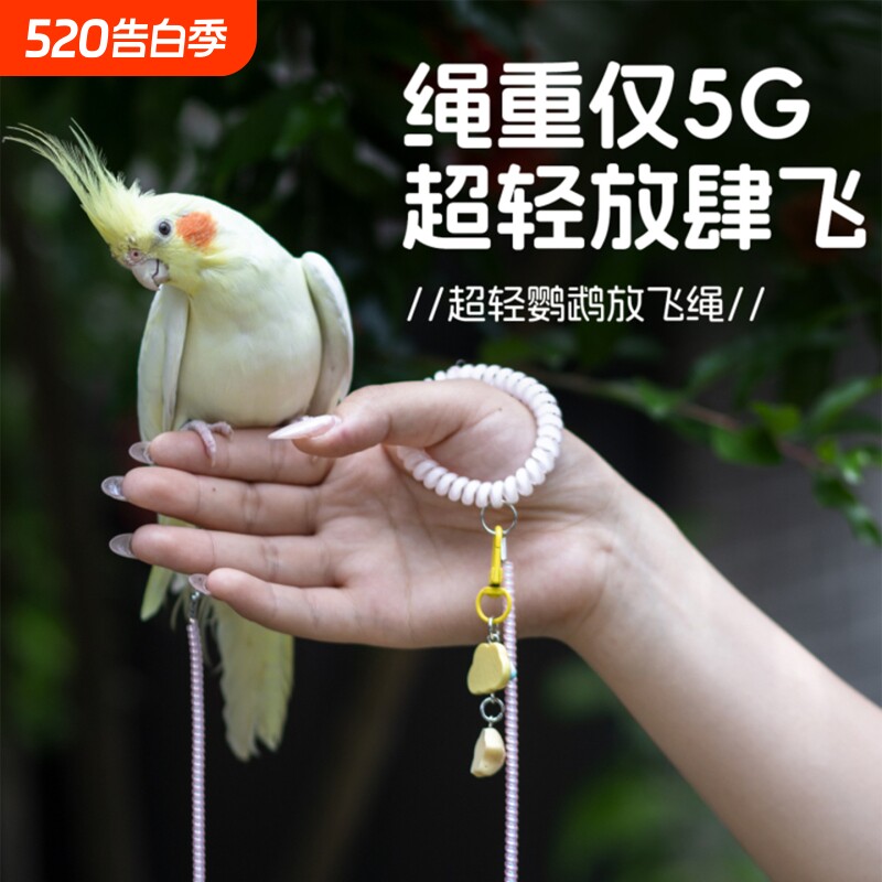 鹦鹉专用放飞绳超轻不伤脚虎皮牡丹玄凤外出牵引绳遛鸟小鸟用八哥