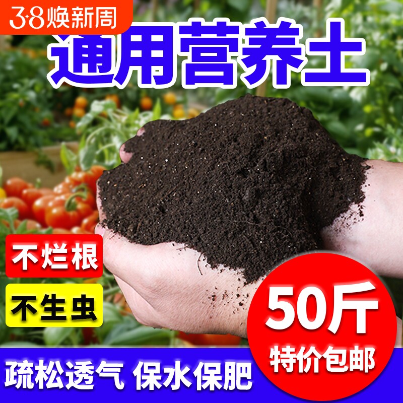 营养土通用型有机花土绿化带多肉土园艺肥料土壤种花种菜泥