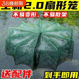 虾笼渔网鱼网捕鱼笼龙虾网笼抓鱼折叠捕虾工具手抛网泥鳅黄鳝笼子