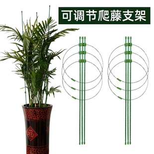 花盆爬藤架花架铁线莲月季 园艺架子藤本植物攀爬架花卉防倒支撑杆