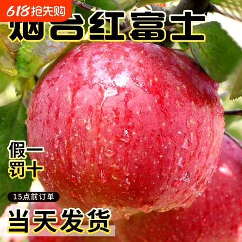 【烟台苹果】产地授权当天发货