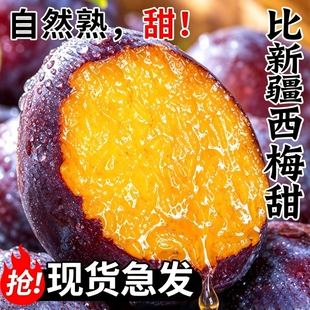 西梅鲜果新鲜水果当季整箱李子法兰西应季蓝蜜大西梅时令特大果