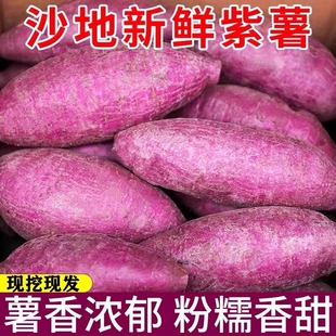 紫薯新鲜番薯农家自种地瓜沙地板栗红薯代餐粗粮蜜薯蔬菜紫心红薯