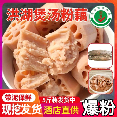 正宗洪湖粉藕莲藕新鲜现挖洪湖莲藕带泥巴藕九孔藕湖北莲藕糯米藕