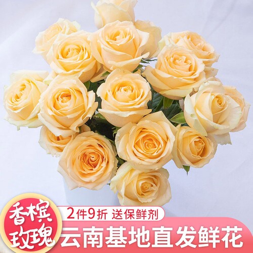玫瑰鲜花云南基地直发鲜切花真花玫瑰套餐搭配家庭水养懒人插花