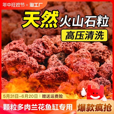 火山石颗粒红火山岩底砂多肉兰花石鱼缸专用营养土滤材铺面石烂根