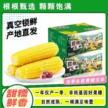 东北【开源保丰】黄糯玉米250g*8根