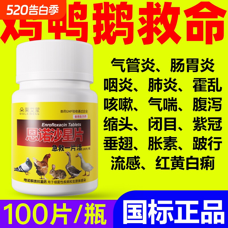 兽药急救一片活鸡鸭感冒拉稀咳嗽药禽类鸡药大全特效消炎恩诺沙星