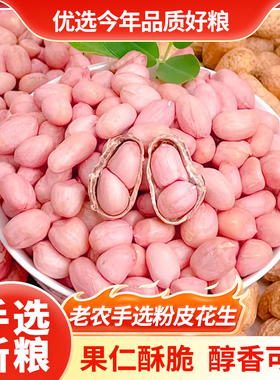 新粮5斤粉皮花生米农家现剥新花生新鲜大粒白沙花生米不带壳