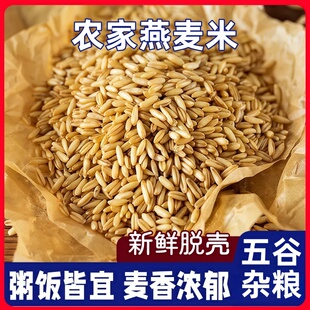 农家自产当年新米燕麦米燕麦仁农家裸燕麦胚芽米燕麦粒杂粮5斤