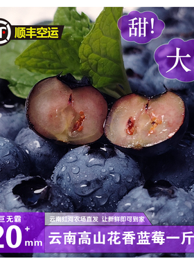 [顺丰空运]优选新鲜云南高原海拔1800米花香蓝莓一斤装整箱发货