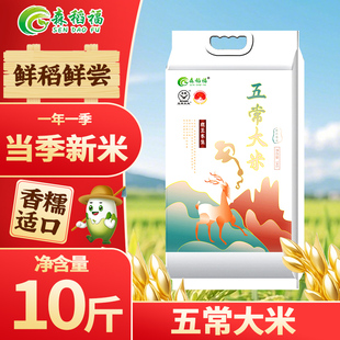 正宗五常大米10斤当季新米双标认证19266执行一年一季铁锅焖饭