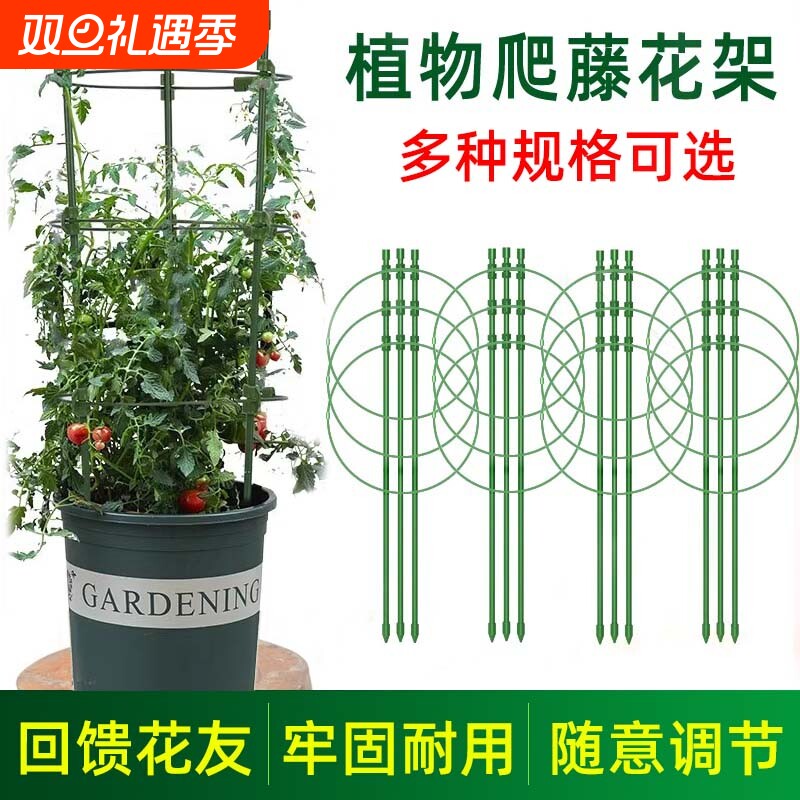 可调节爬藤花架球兰蟹爪兰月季花攀爬支架园艺花卉绿萝植物支撑杆