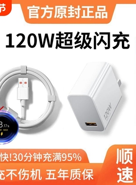 阙听120w快充电器适用小米1715120w4Pro163/12红米K70至尊版K50手机K60闪充Note13Pro线a套装充无线金标数据