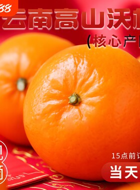 「官方推荐」新鲜现摘沃柑！现货
