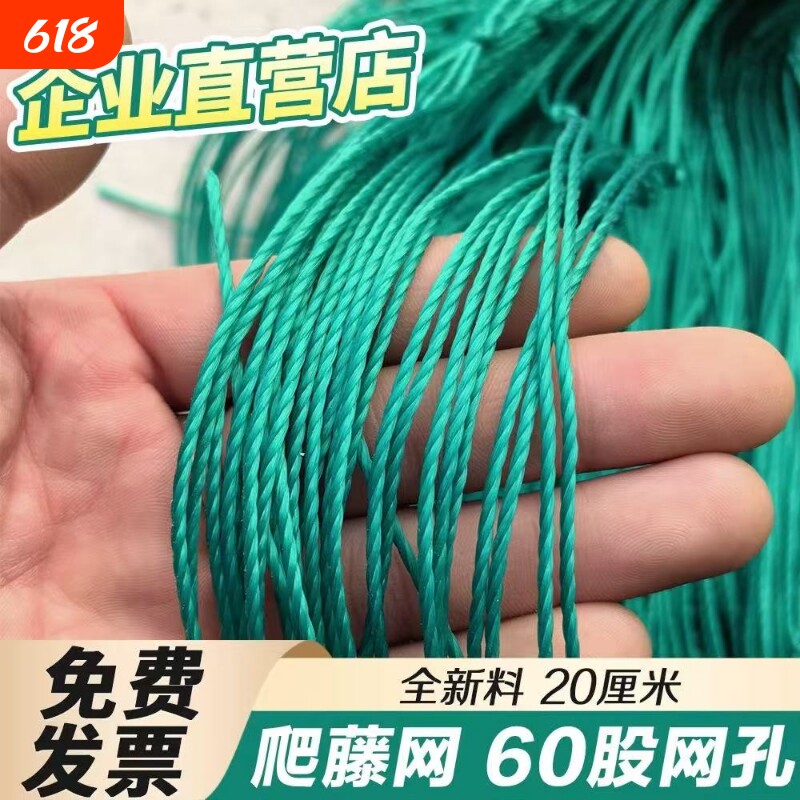 植物丝瓜爬藤网攀援网园艺搭架网月季藤蔓花卉瓜果苦瓜攀爬种植网