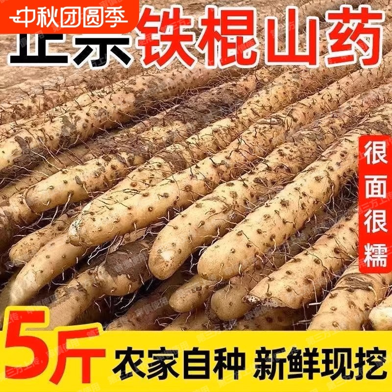 铁棍山药新鲜淮山药铁杆山药小白嘴现挖山药5斤非温县垆土怀山药