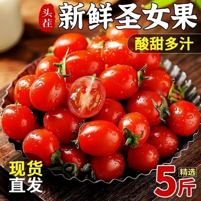 正宗圣女果新鲜小番茄樱桃小西红柿生吃应季水果樱桃小番茄自提