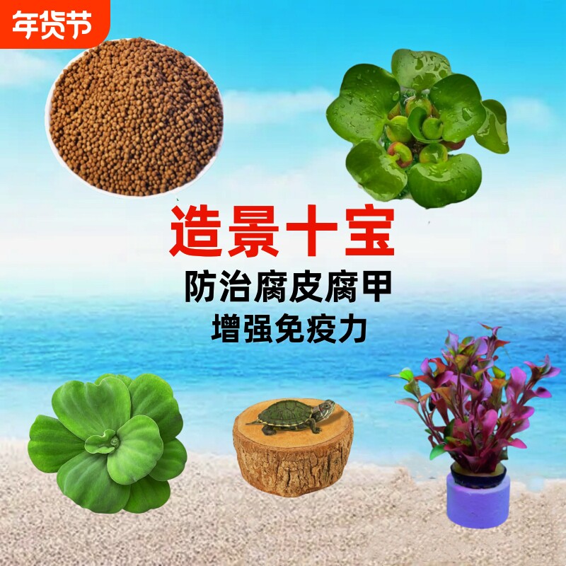 乌龟缸造景套餐养龟专用绿植浮萍真水草龙眼木晒台防腐甲净化水质