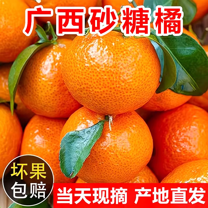 正宗广西砂糖橘现摘新鲜水果当季整箱柑橘蜜桔子,水产肉类/新鲜蔬果/熟食,桔子,淘宝优惠券,粉丝福利购,淘宝优惠卷