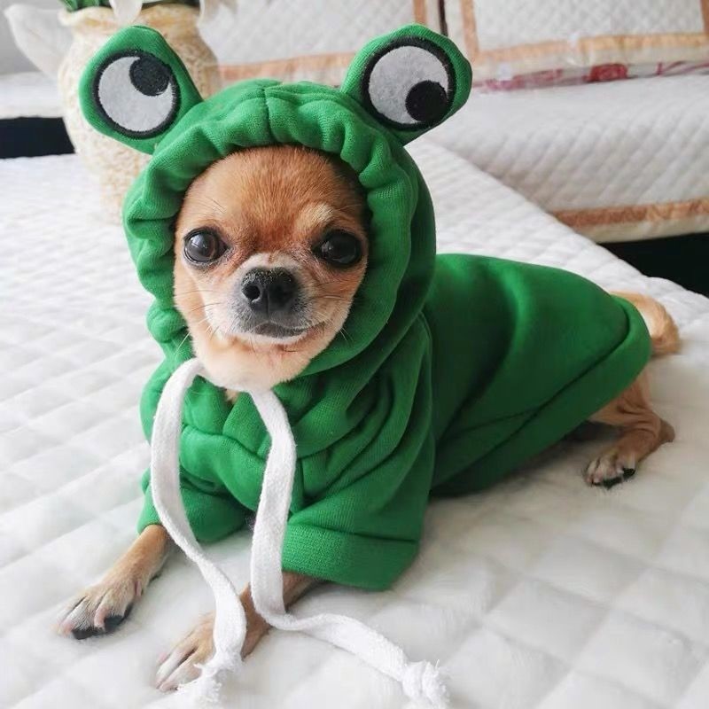 狗狗衣服秋冬小型犬搞笑宠物用品泰迪比熊博美防掉毛卫衣加绒