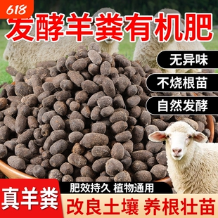 羊粪发酵有机肥内蒙古月季花专用土蔬菜纯蛋颗粒肥有机肥料羊粪蛋
