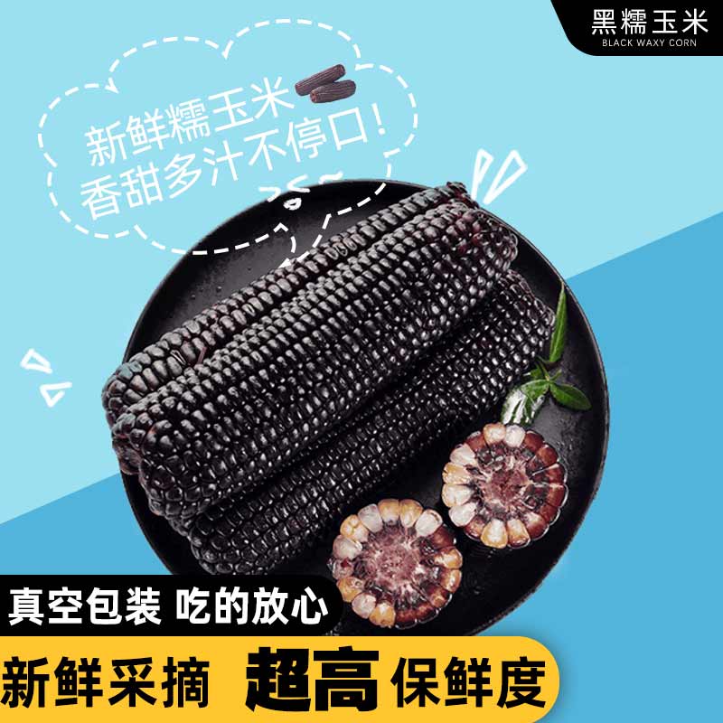 黑糯玉米鲜甜紫黑玉米棒即食东北真空粘苞米甜糯玉米粗粮2025