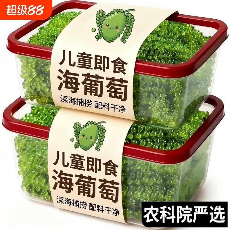 农科院！儿童海葡萄即食小孩吃的健康零食绿色鱼子酱新鲜盐渍低卡