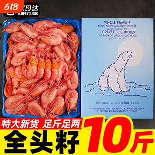 北极甜虾北极虾头籽北极熊甜虾刺身腹籽特大号冰虾即食元宝虾新鲜